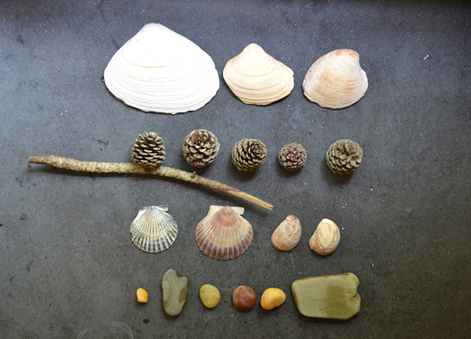 Collecting stuff from the beach for art projects.