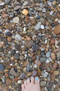 Finding stones on the beach for art projects.