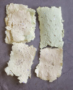 Make homemade paper with kids.