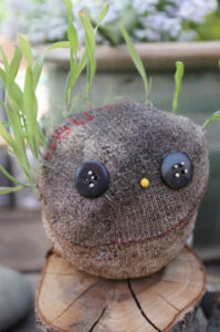 Make a homemade Chia Pet from an old sock.
