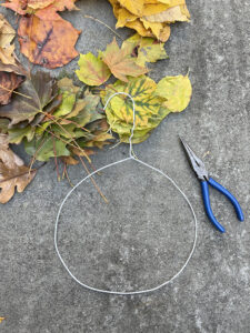 Make a simple, rainbow leaf wreath using a wire hanger.