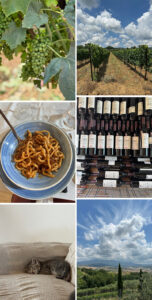 Piancornello vineyard in Tuscany, Italy